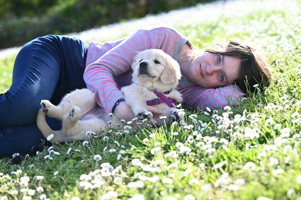 Discover Compassionate Alternatives to Declawing Your Maine Coon Cat